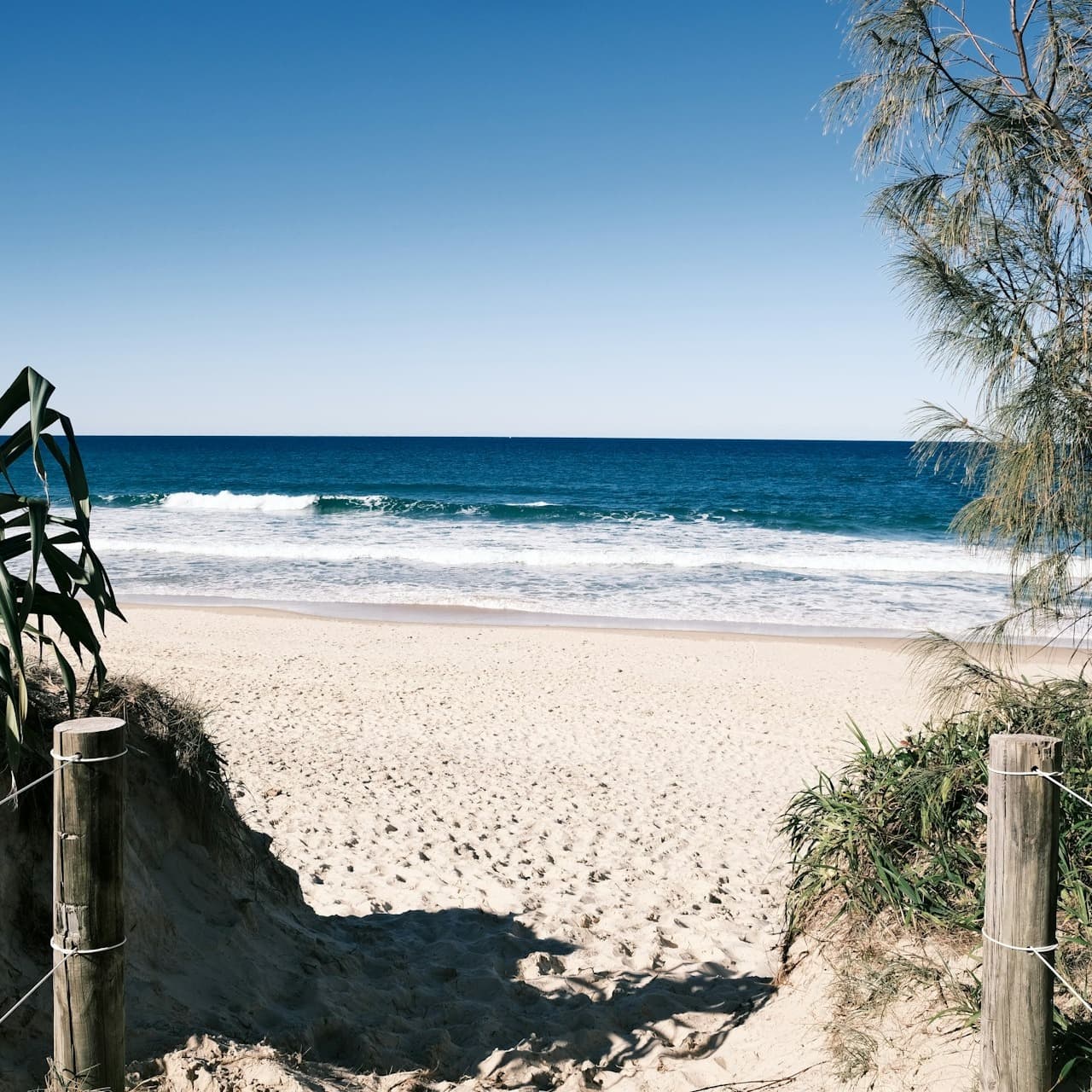 Marketing Website for Sunshine Coast image